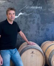 Bodegas_Vina_Estevez2.JPG