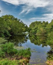 C.E. Muegge Real Estate image 2