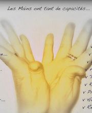 Tellier Séverine image 6