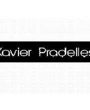 Pradelles Xavier image 2