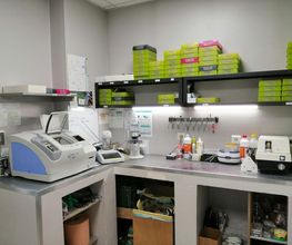 Optique Saint Cybard image 6