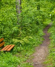 FriedWald Elisenruhe Bild 9