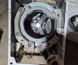 Diacaux Florian image 10