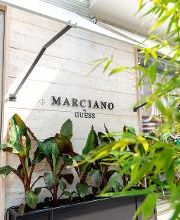 MARCIANO GUESS immagine 2