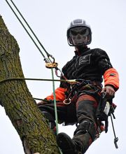 MD Saintrapt image 3