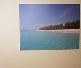 PEDICARE & MEHR Bild 7