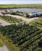 Valerie Maille image 8