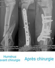 ReferVet Loire image 12