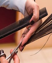 Alex Création image 2