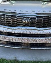 Mike's Termite & Pest Control image 6