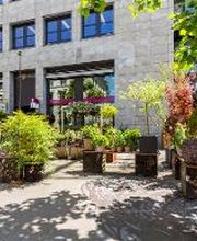 Linder Blumen am Bahnhofplatz in Aarau Bild 3