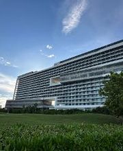 Magnified Vacations CruiseOne image 1