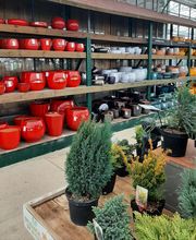 Jardinerie du Bois-Paris image 5