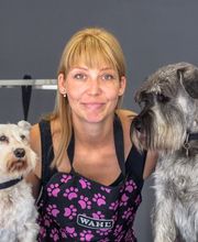 The Dog Barber Bild 1