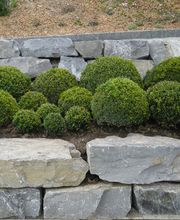 Mathis Gartenpflege und Gestaltung GmbH Bild 6