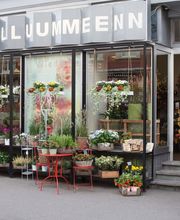Blumenhaus Wiedikon Bild 6