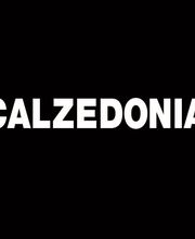 CALZEDONIA image 1