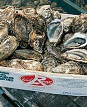 Gilles Massé Earl image 1