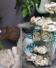 Gartencenter A-Z Velbert GmbH Bild 17