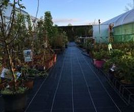 Le Saint Horticulture image 7