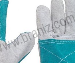 Brañiz imagen 1