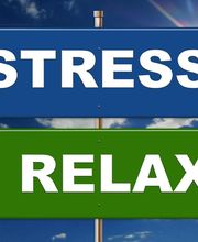 Vancaeyzeele Vincent Sophro Partage image 1