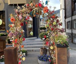 Blumen Candinas / Fluras Candinas Bild 10