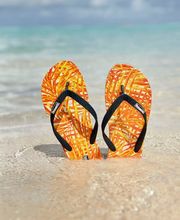 Cruise 25 Collection