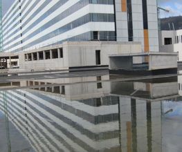 SAGA-Rafa Oliva imagen 2