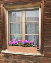 Insektenschutz Meyer GmbH
Insektenschutzrollo, mit diesem Rollo am Fenster lassen sich die Blumen auf dem Fensterbrett problemlos von innen giessen. Ideal zudem bei Fensterläden oder Jalousie.