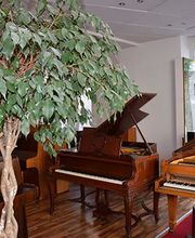 Hermans Thomas Bild 1