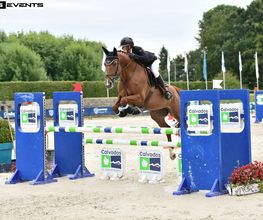 Ecuries des Tourelles image 8