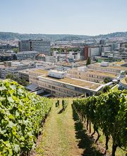 LBS in Stuttgart-Mitte Bild 1