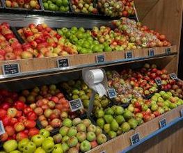 Berends groenten en fruit afbeelding 1