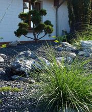 Der Grüne Baum Bild 10