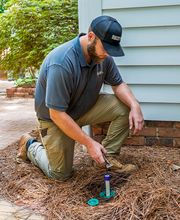 Bizzy Bee Exterminators image 11