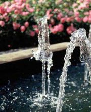 Wasserteich Zürich Gartenzubehör