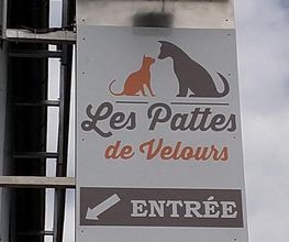 Les Pattes de Velours image 7