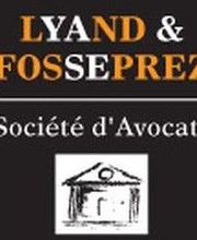 Lyand & Fosseprez image 2
