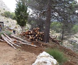 195098439-1-4PAluZ17Qc1782194877186.jpeg