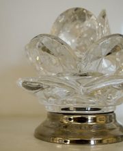 Gallery Professionale