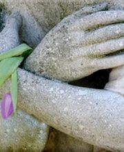 Bestattungsinstitut Ammermüller Bild 5