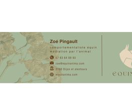 Equin' Anima image 2