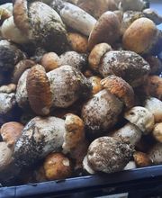 La Renaissance Maison Ceyte image 2