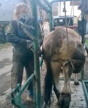 Henrotay Gilles image 10