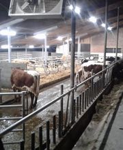 Elektro Stoffelberg AG Bild 10