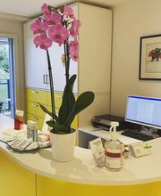 Zahnarztpraxis Organ Hittnau Bild 4