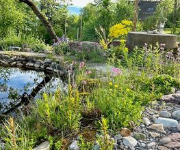 Wildblumendienst Bild 3