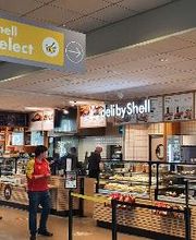 Shell image 4