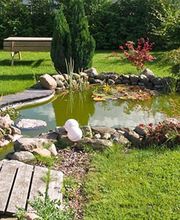 Alexis Manu Paysages image 1